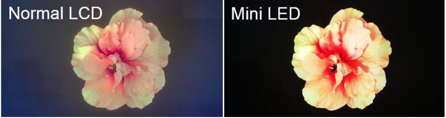 24001159.png