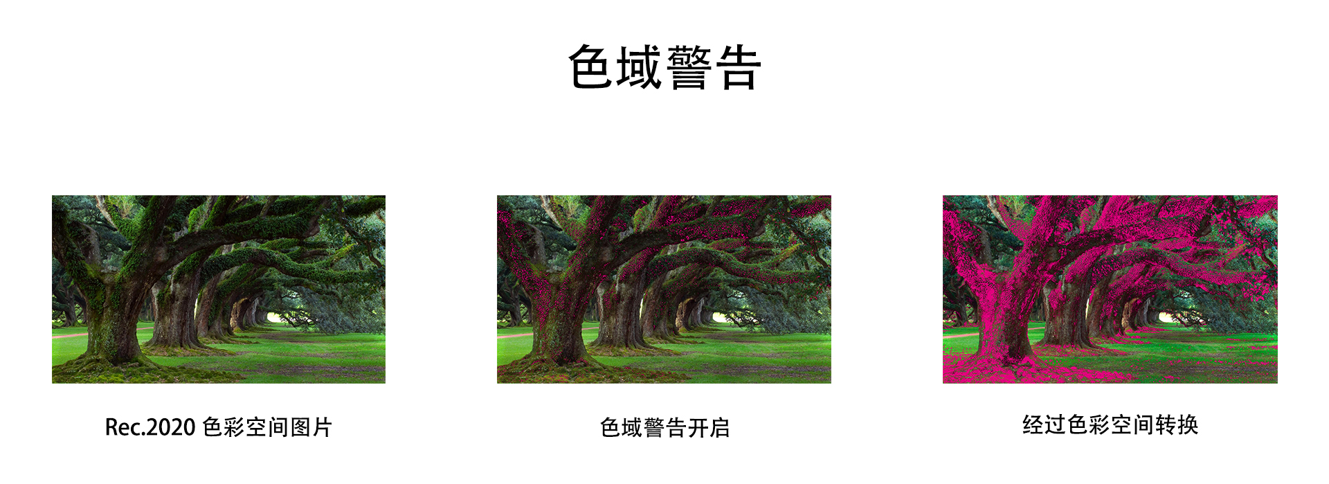 卓銳顯監(jiān)視器色域警告.jpg